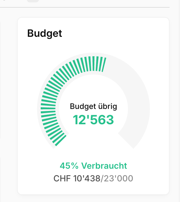 Budget-Karte eines Projekts mit verbrauchtem und verbleibendem Betrag